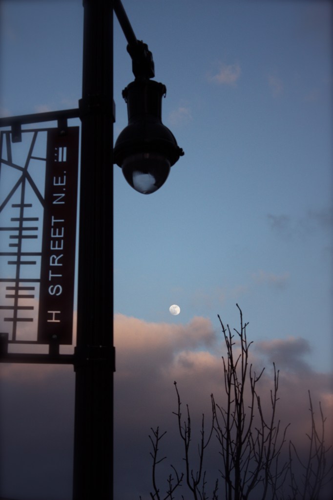 Lamp, Moon