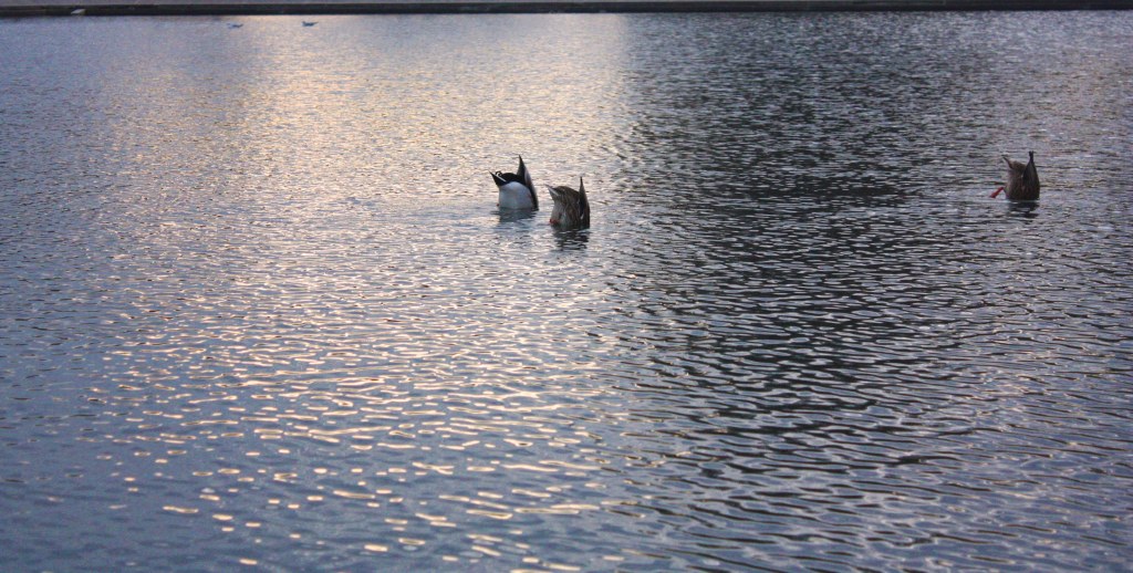 Upside-down in a right-side-up world.