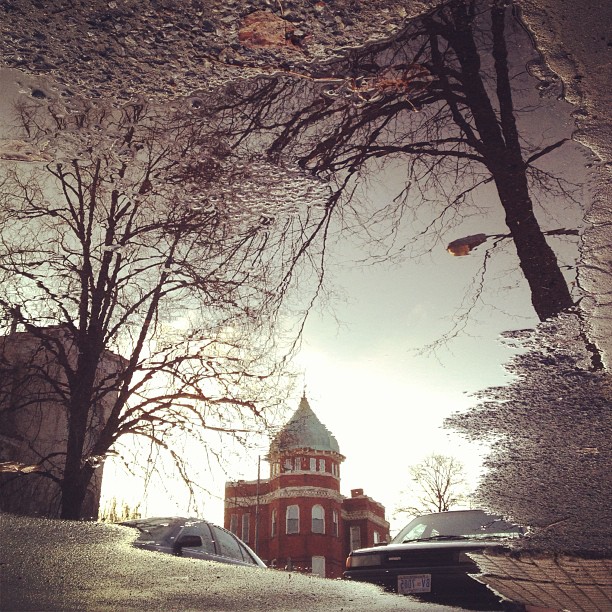 Puddlegram