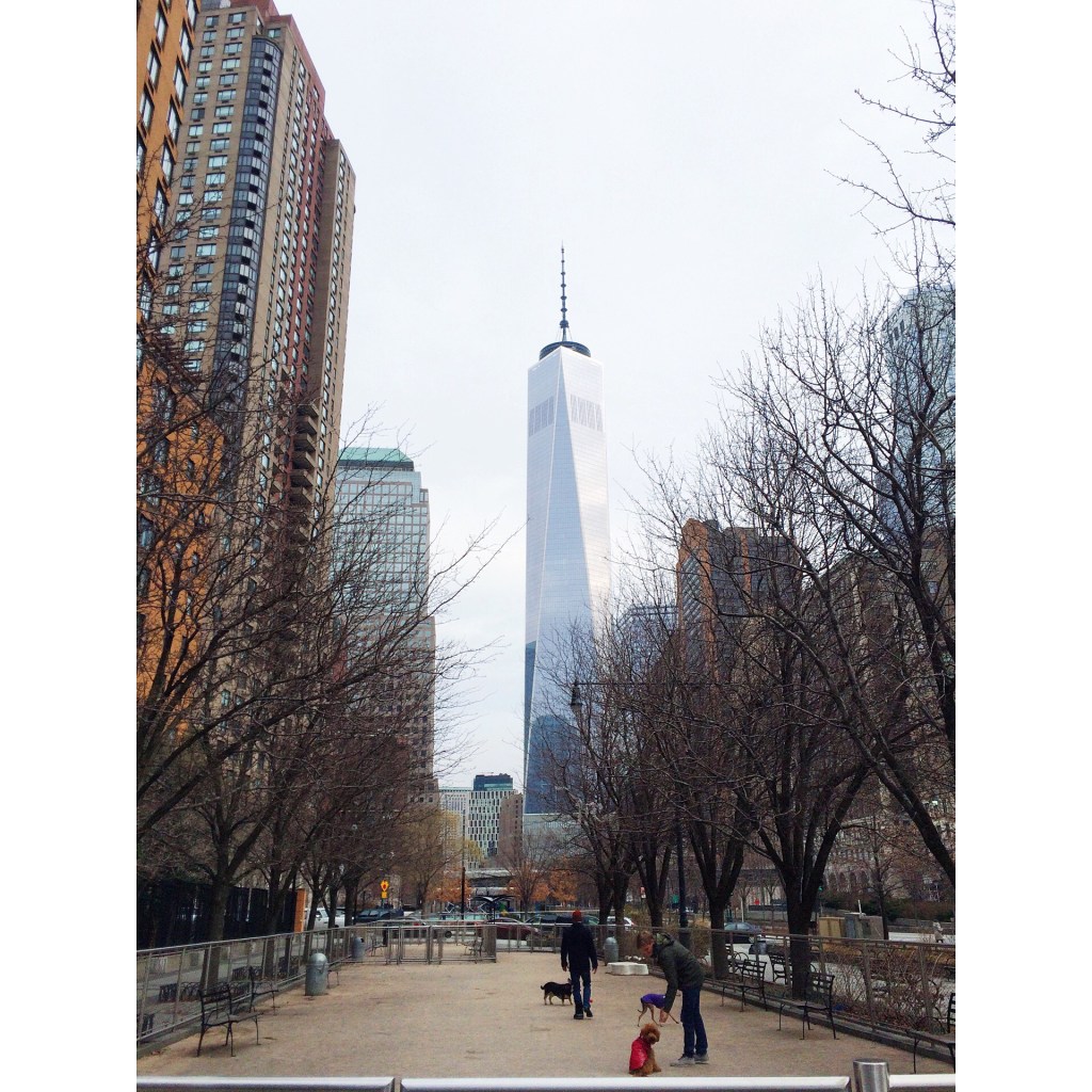 2015-01-03 09.55.10-3