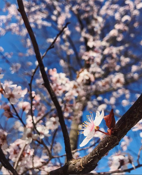 Poetry Month Starts&nbsp;Early