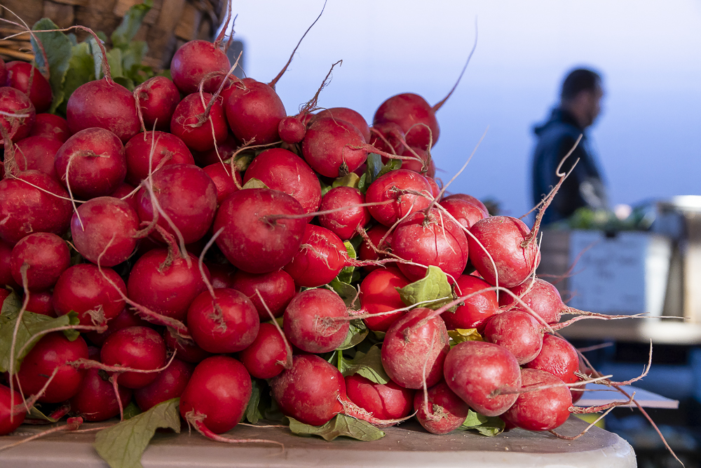 A mountain of radishes for sale.
